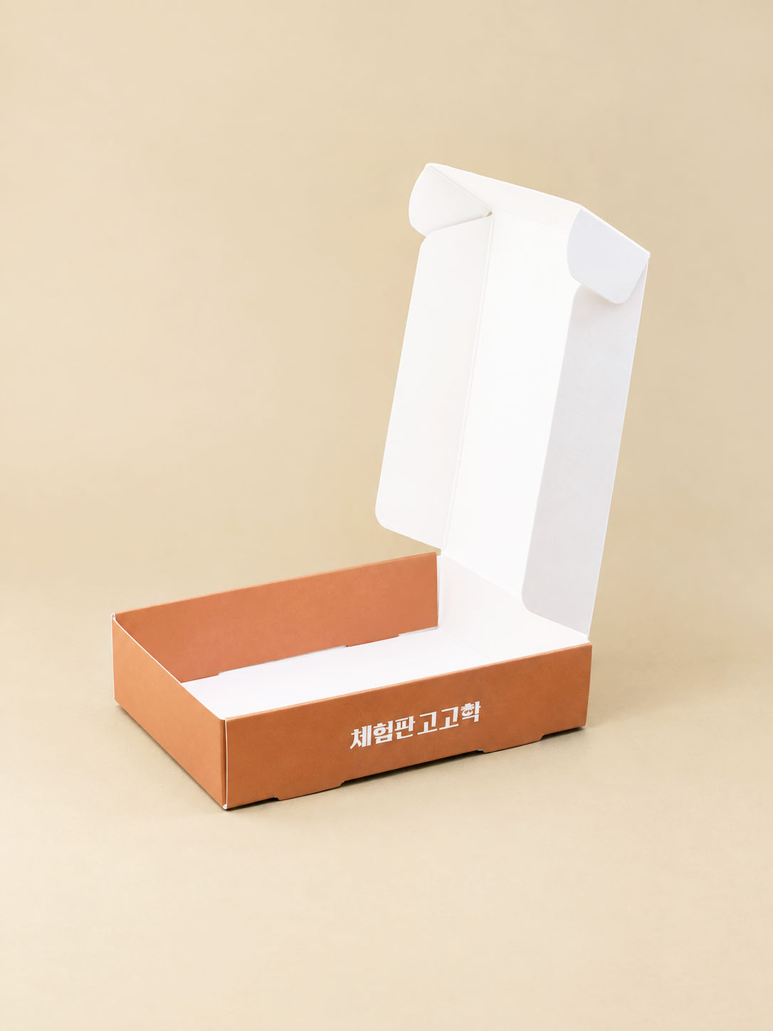 체험판 고고학_ab350g_전면 4도_무광 라미네이팅_톰슨조립형 패키지_2.jpg